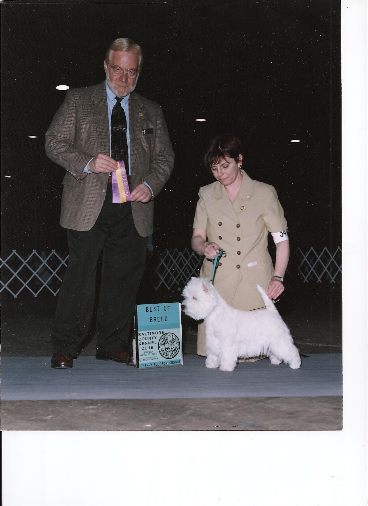 Ashgate US Westie gallery photo 8