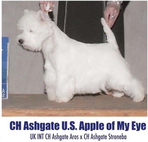 CH Ashgate U.S. Apple of my Eye