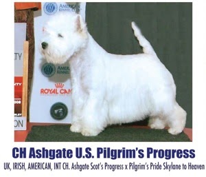 CH Ashgate U.S. Pilgrim's Progress
