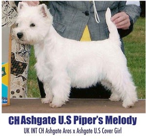 CH Ashgate U.S. Piper's Melody
