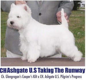 CH Ashgate U.S. Taking the Runway